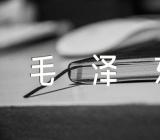 关于对毛泽东的看法作文【三篇】