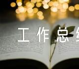 主题教育整治整改工作总结精选四篇