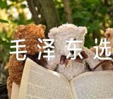 读《毛泽东选集》有感范文(精选3篇)