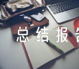 2024年全面从严治党工作总结报告(合集五篇)