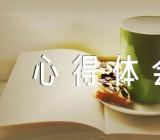 第三次新疆工作座谈会精神心得体会(合集6篇)