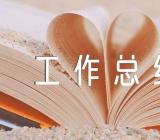 2024年技师工作总结精选四篇