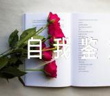 自我鉴定300字士官(合集3篇)