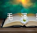 毛泽东的名言诗句精选5篇