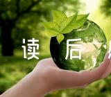 平语近人读后感精选四篇