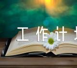 老年友善医疗机构的年度工作计划【5篇】