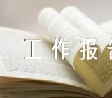 2023年度内控体系工作报告精选五篇