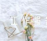 经济工作报告范文(精选四篇)