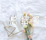 2024年纪检个人工作总结报告精选五篇