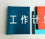 农险个人工作总结和工作计划(锦集3篇)