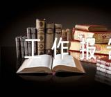 全面从严治党工作报告范文四篇