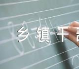 乡镇干部自传乡镇干部个人自传范文(通用3篇)