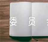 关于党支部委员会工作报告和查摆问题清单【四篇】