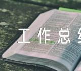 工作总结与展望范文(精选5篇)