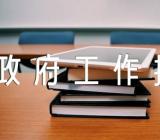 人大代表审议政府工作报告发言【汇编五篇】