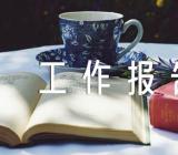 支部委员会工作报告【汇编五篇】