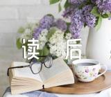 《领航中国》读后感范文五篇