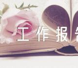 审议人大工作报告发言(合集四篇)