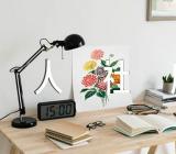 内蒙古人社厅职称公示范文六篇