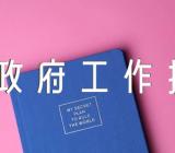 政协委员对政府工作报告的讨论发言精选8篇