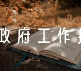 县政府工作报告讨论个人发言(合集四篇)