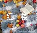 读《红楼梦》有感【九篇】