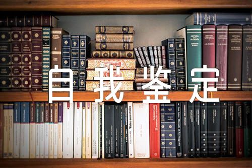 2022年巡察工作自我鉴定例文(通用3篇)