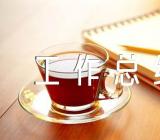 近三年工作总结干部考察三篇