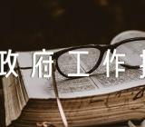 政府工作报告讨论个人发言【4篇】