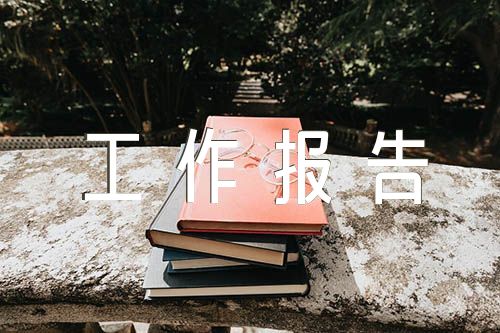 审议两院工作报告发言范文(通用6篇)