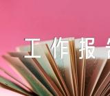 在县一府两院工作报告审议会上发言锦集三篇